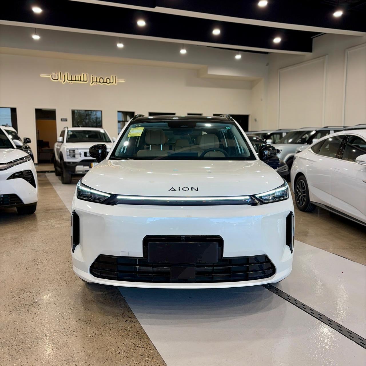 GAC Aion Aion V